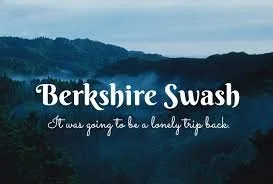 Berkshire Swash Font Family font önizleme